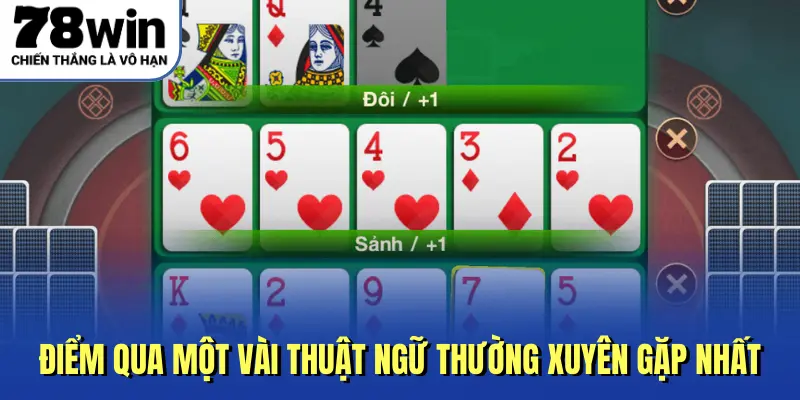 Điểm qua một vài thuật ngữ thường xuyên gặp nhất